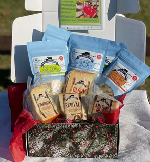 Hard Cheese & Curd Sampler